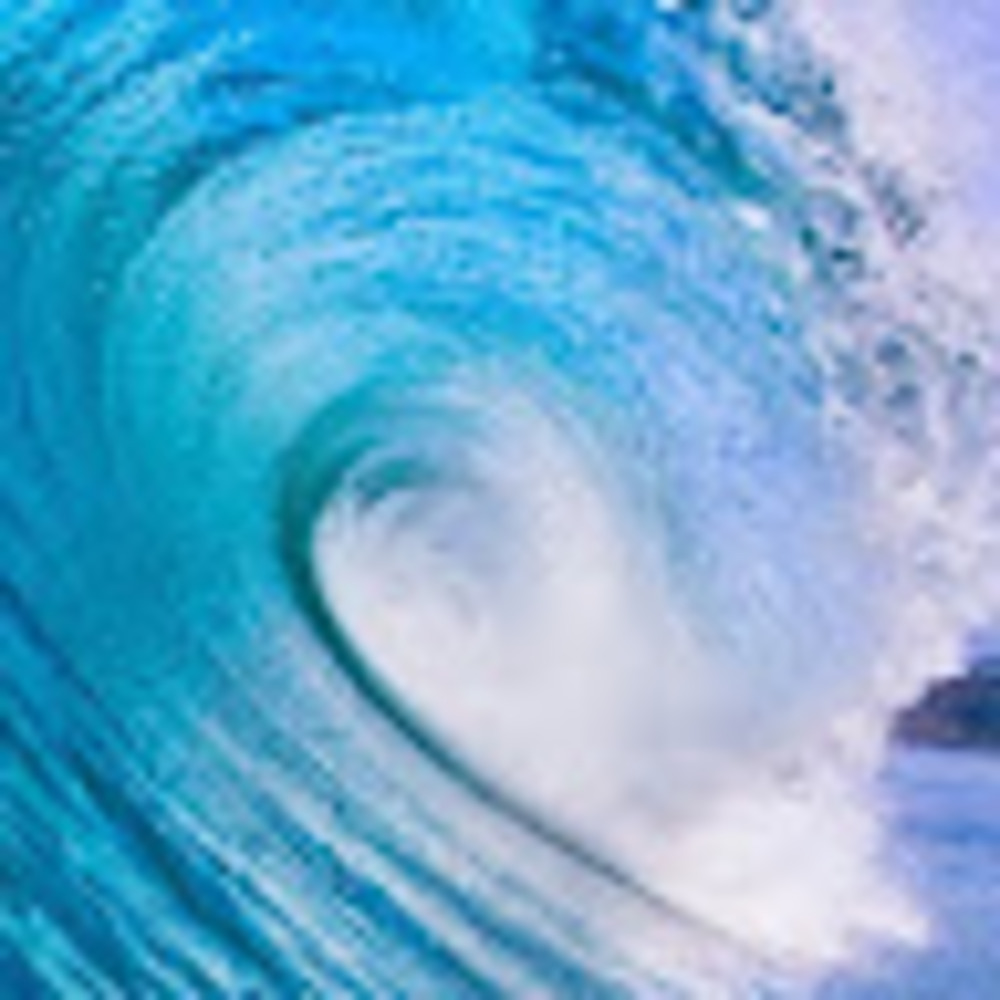 Meet your Posher, Trotts